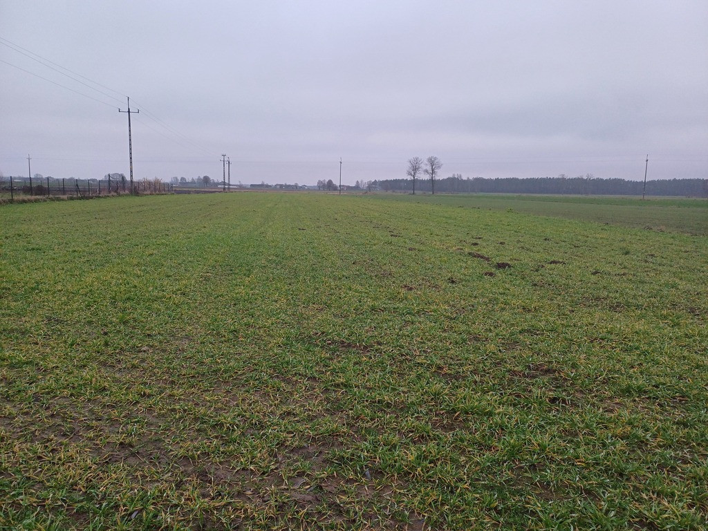 Działka Sprzedaż Nowe Wielątki